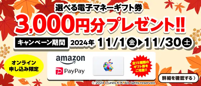 【オンライン申込限定】選べる電子マネーギフト券3,000円分プレゼント！！キャンペーン期間：2024年11/1～11/30