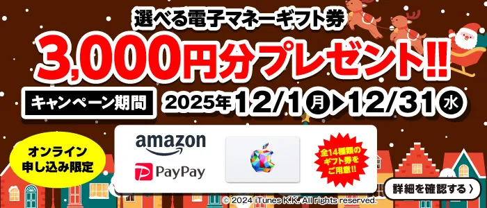 冬のプレゼントキャンペーン 選べる電子マネーギフト券3,000円分プレゼント（2025年12/1～12/31まで）