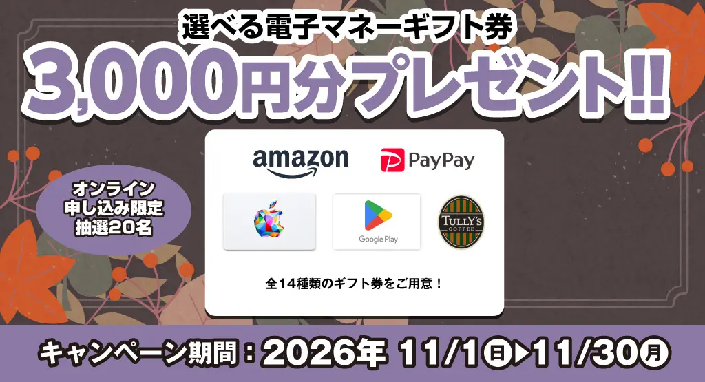 選べる電子マネーギフト券3,000円分プレゼント（キャンペーン期間：2026年11/1～11/30まで）