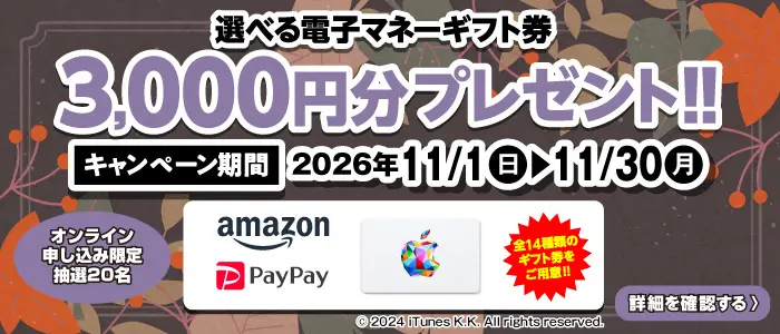 選べる電子マネーギフト券3,000円分プレゼント（キャンペーン期間：2026年11/1～11/30まで）