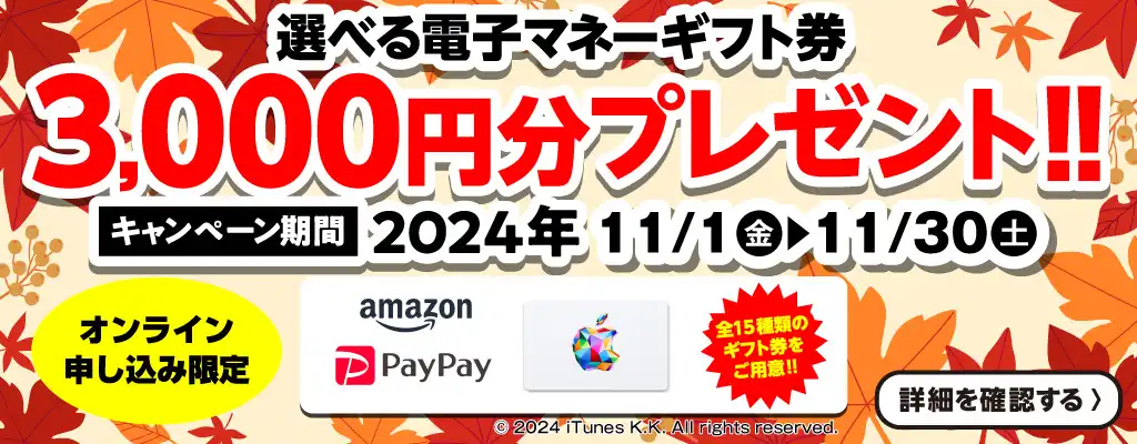 【オンライン申込限定】選べる電子マネーギフト券3,000円分プレゼント！！キャンペーン期間：2024年11/1～11/30