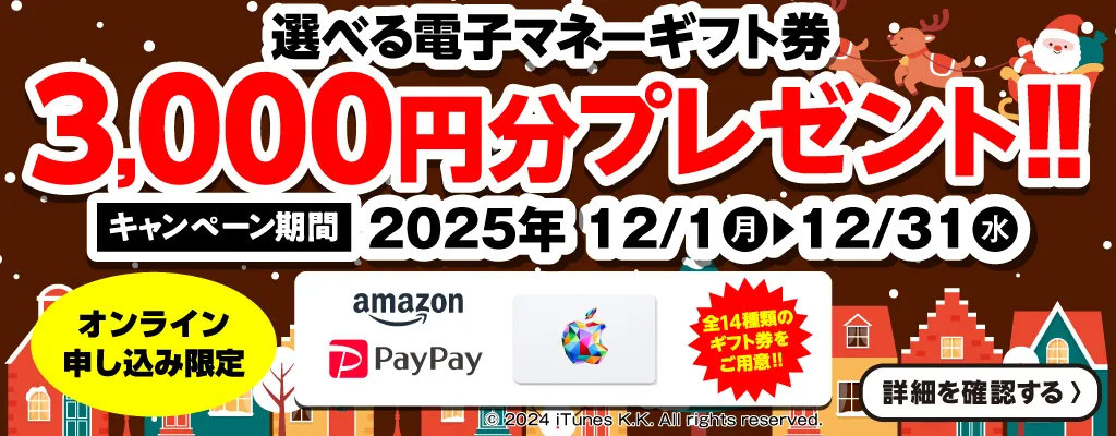 冬のプレゼントキャンペーン 選べる電子マネーギフト券3,000円分プレゼント（2025年12/1～12/31まで）