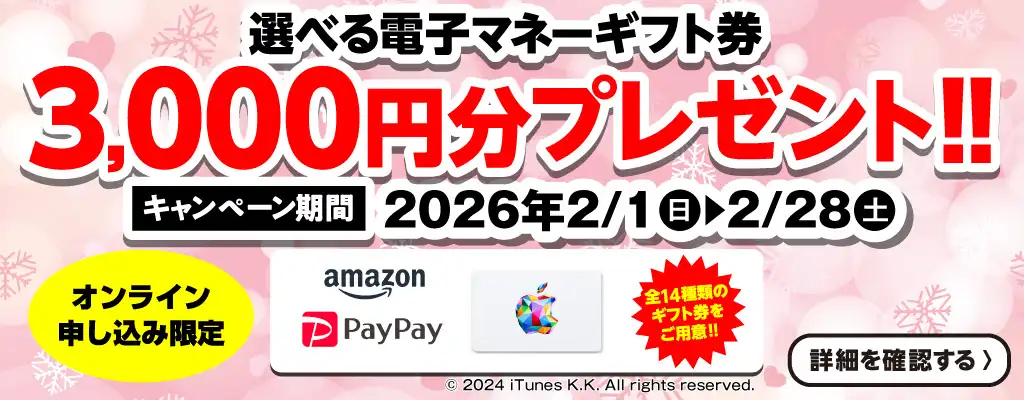 プレゼントキャンペーン！選べる電子マネーギフト券3,000円分プレゼント（2026年2/1～2/28まで）