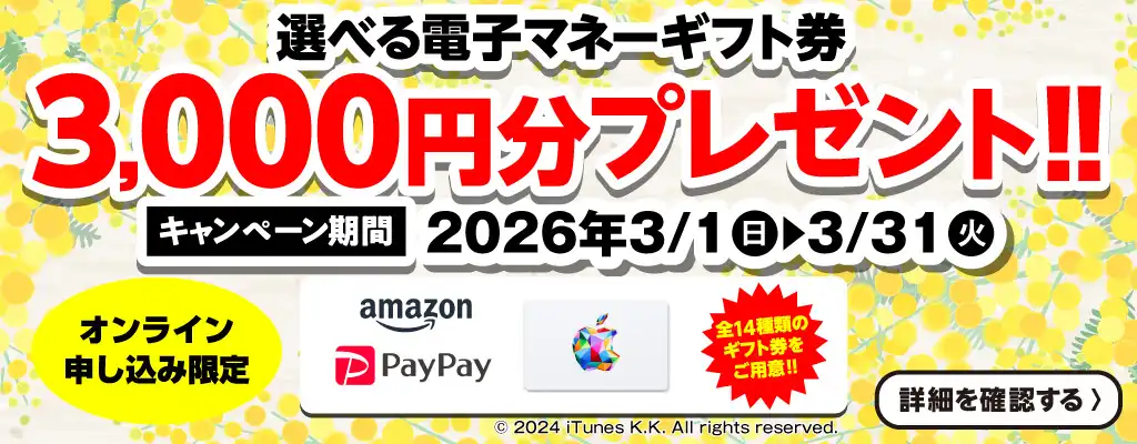 選べる電子マネーギフト券3,000円分プレゼント（キャンペーン期間：2026年3/1～3/31まで）