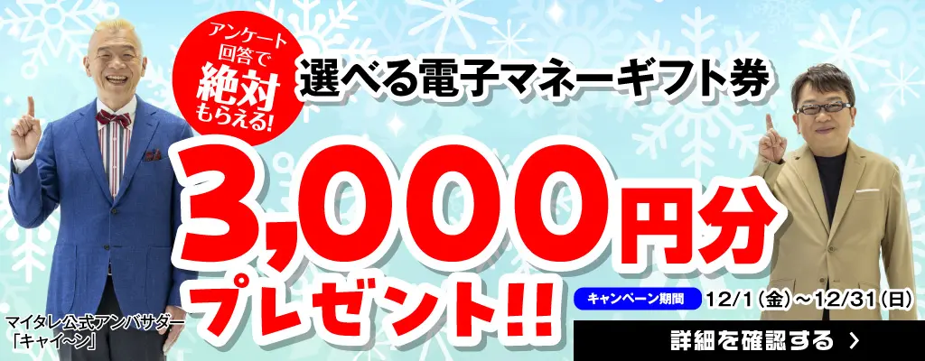 アンケート回答で絶対もらえる！選べる電子マネーギフト券3,000円分プレゼント！！キャンペーン期間：2023年12月1日（金）～12月31日（日）