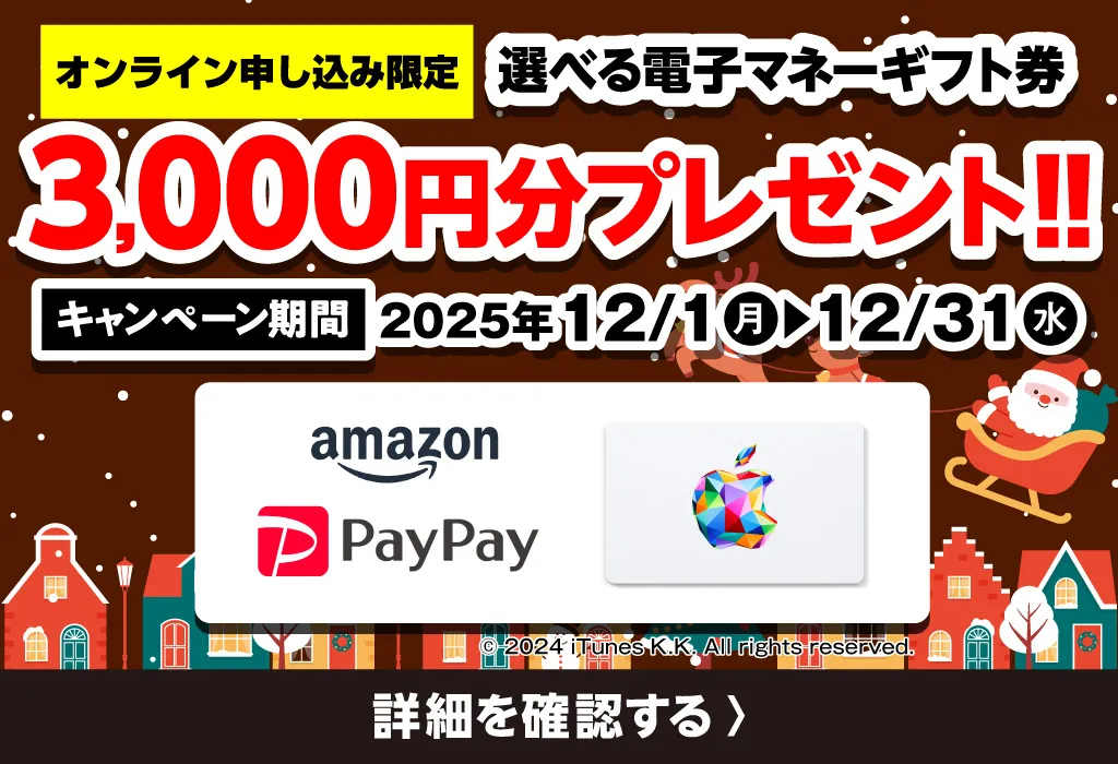 冬のプレゼントキャンペーン 選べる電子マネーギフト券3,000円分プレゼント（2025年12/1～12/31まで）