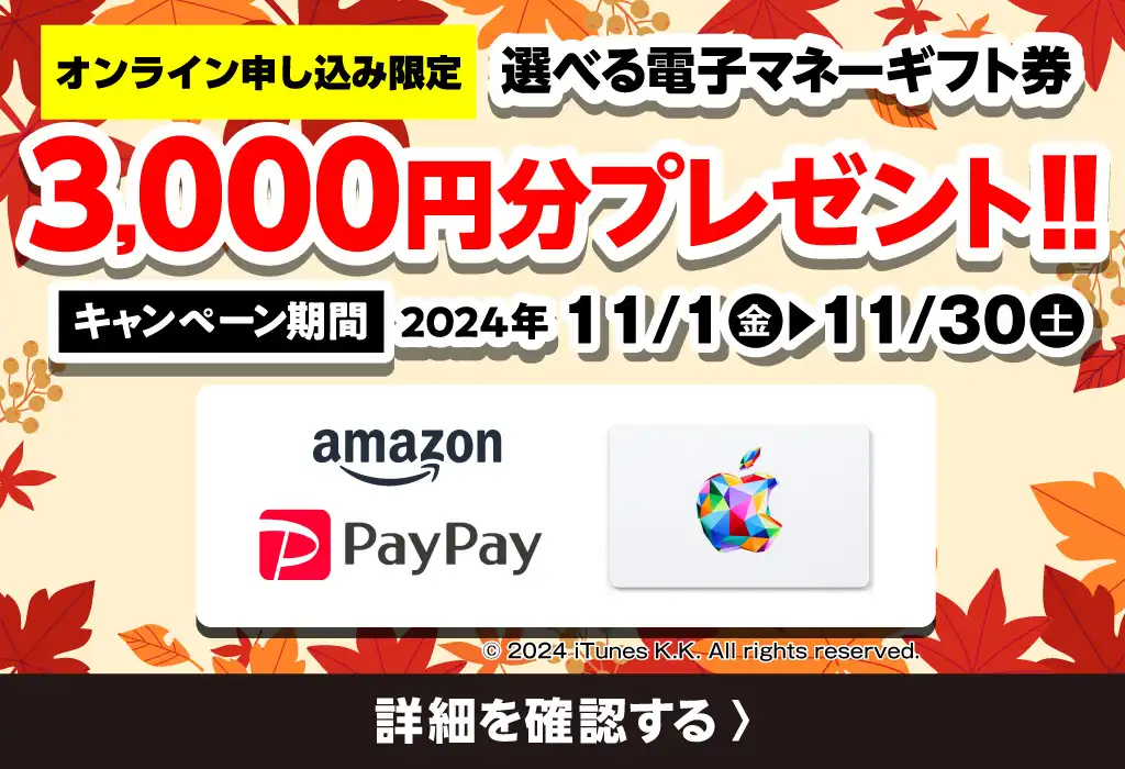 選べる電子マネーギフト券3,000円分プレゼント！！【キャンペーン期間】2024年11/1（金）～11/31（土）