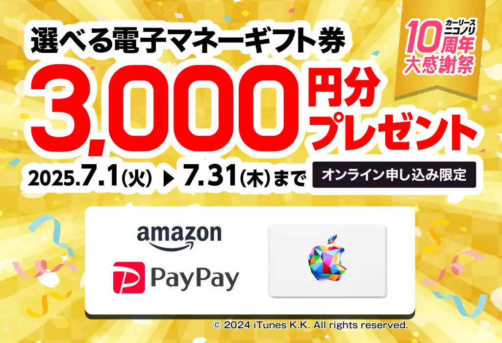 ニコノリ10周年大感謝祭！選べる電子マネーギフト券3,000円分プレゼント（2025年7/1～7/31）