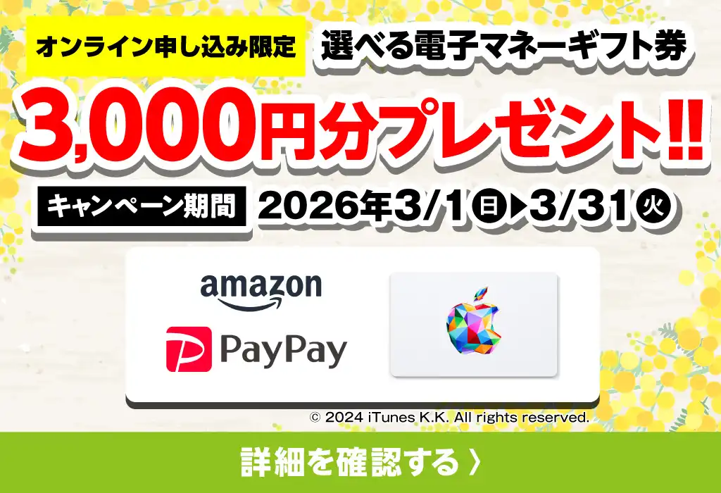 選べる電子マネーギフト券3,000円分プレゼント（キャンペーン期間：2026年3/1～3/31まで）