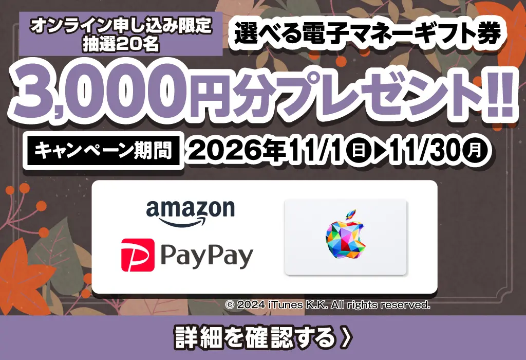 選べる電子マネーギフト券3,000円分プレゼント（キャンペーン期間：2026年11/1～11/30まで）